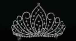 👑Who will be Miss Ebony Canada 2026? #MissEbonyCanada2026🔥